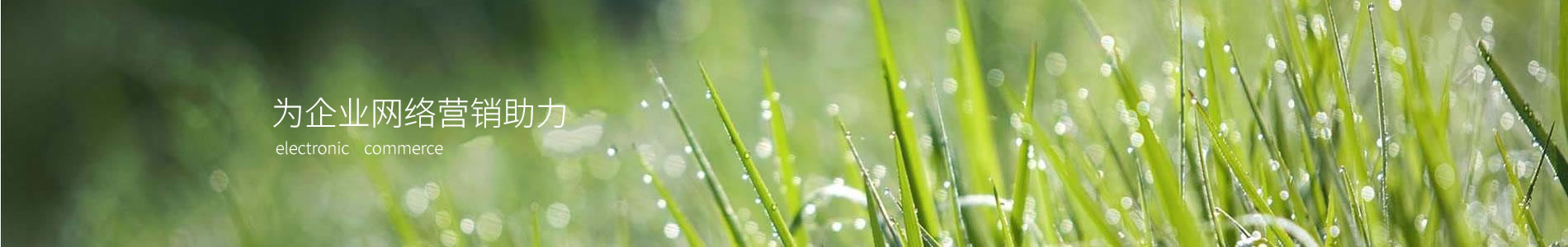 ŷǱ޹˾